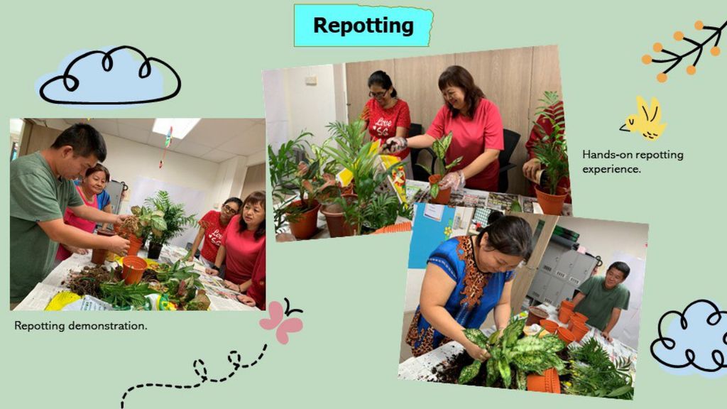 Helping Hand We Have Together We Care (Story 4: Showing Kindness to the Environment) — photo 1