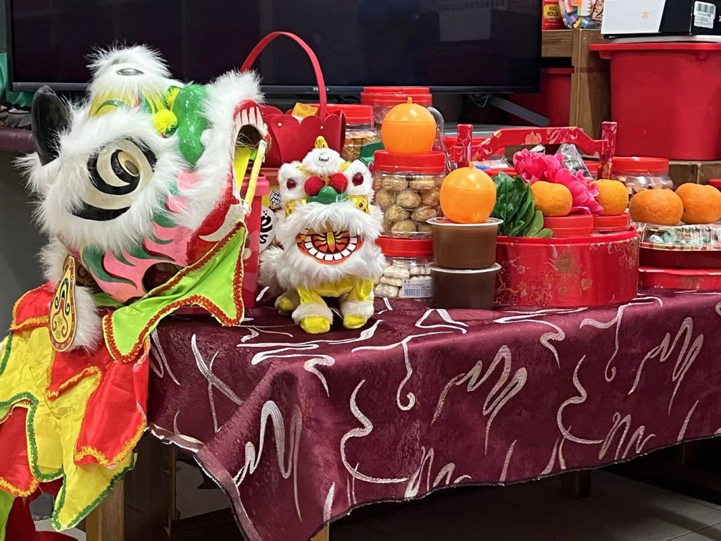 Chinese New Year’s Celebration — photo 4