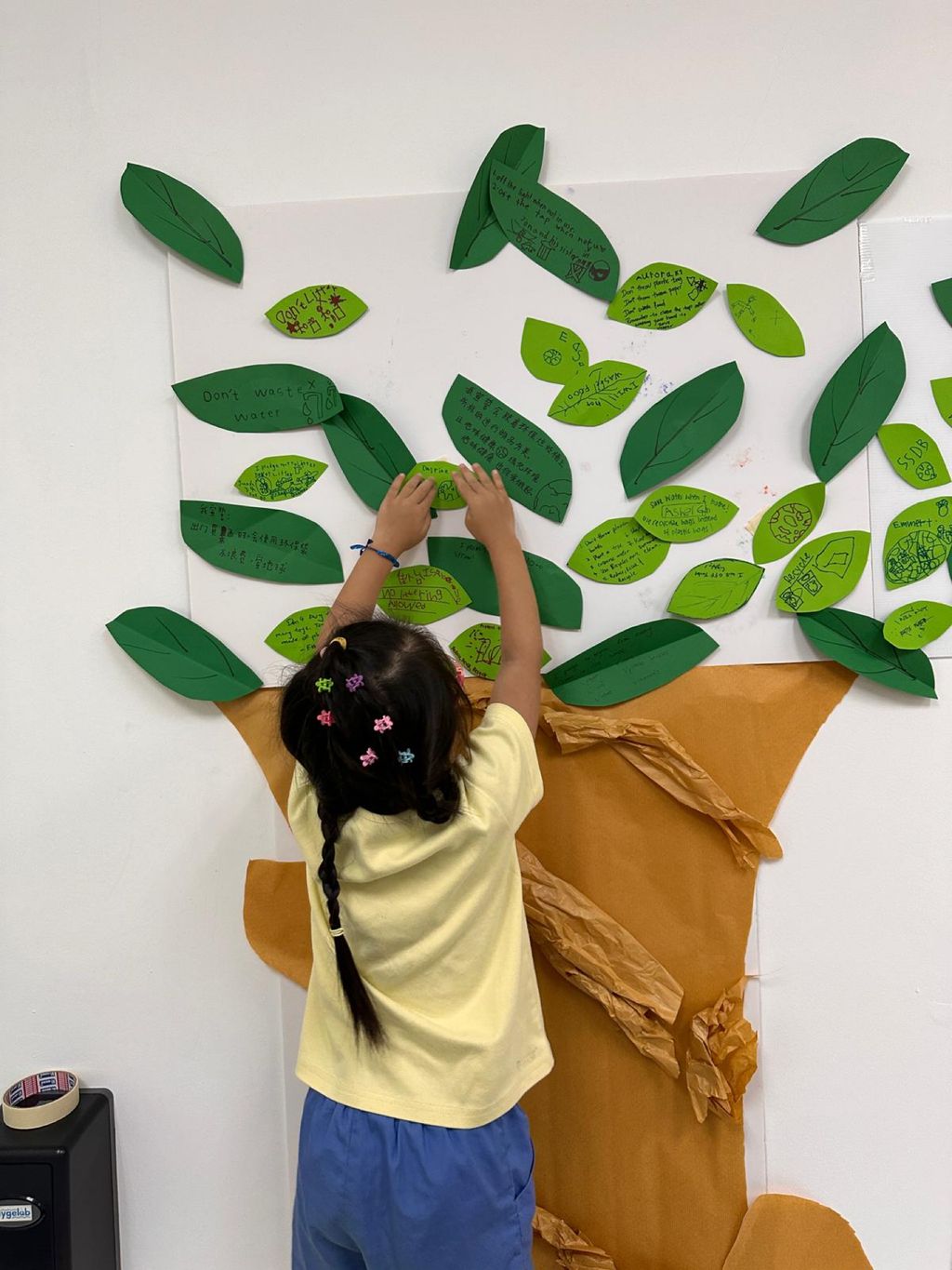 The Green Adventure Begins! — photo 10