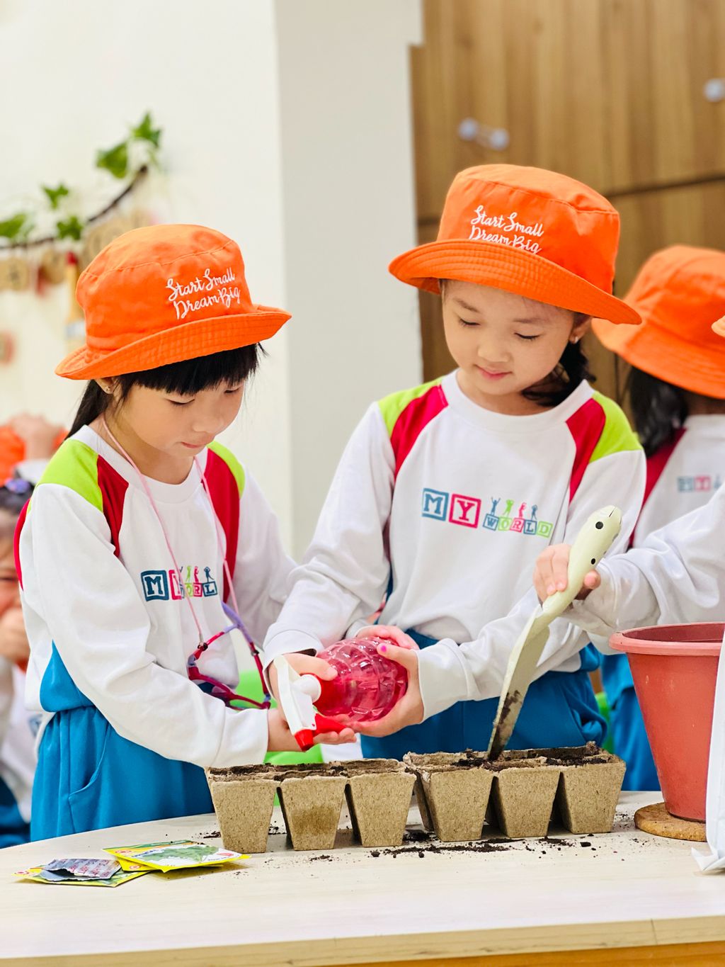 Planting Vegetables