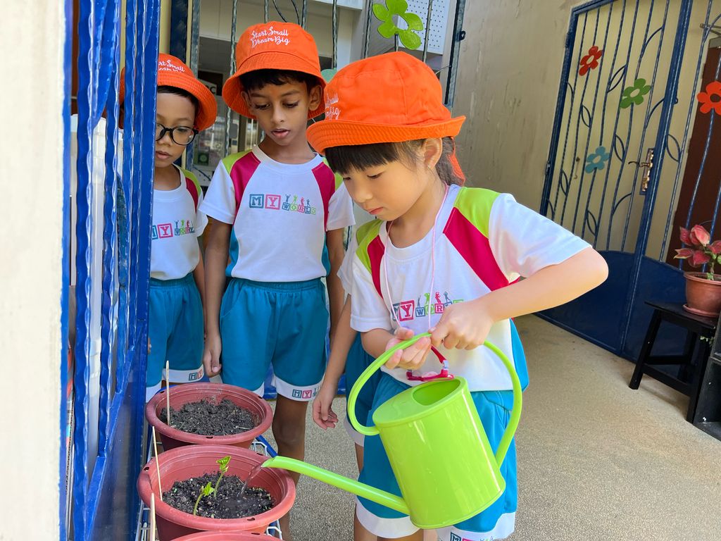 Planting Vegetables — photo 4