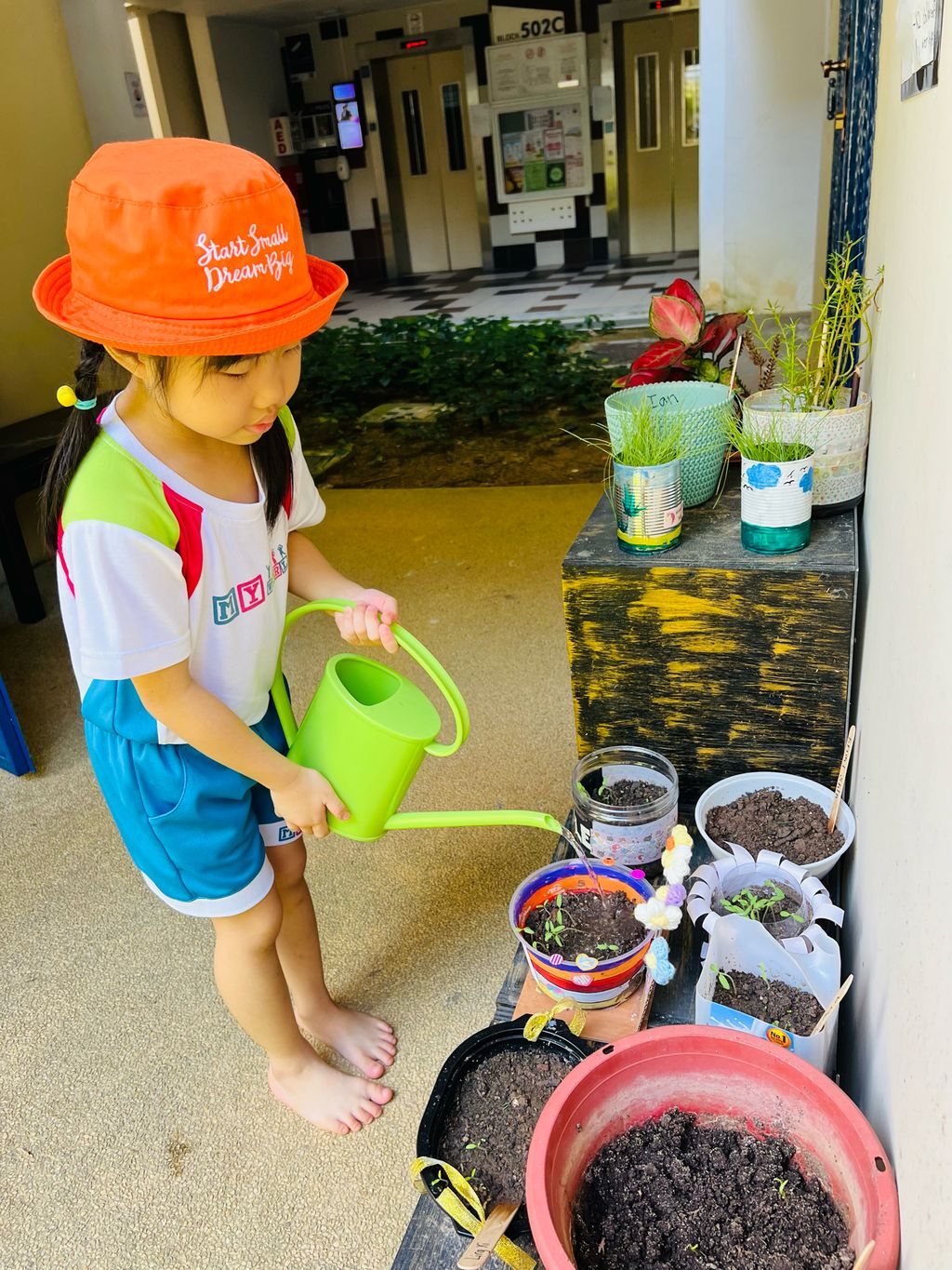 Planting Vegetables — photo 1