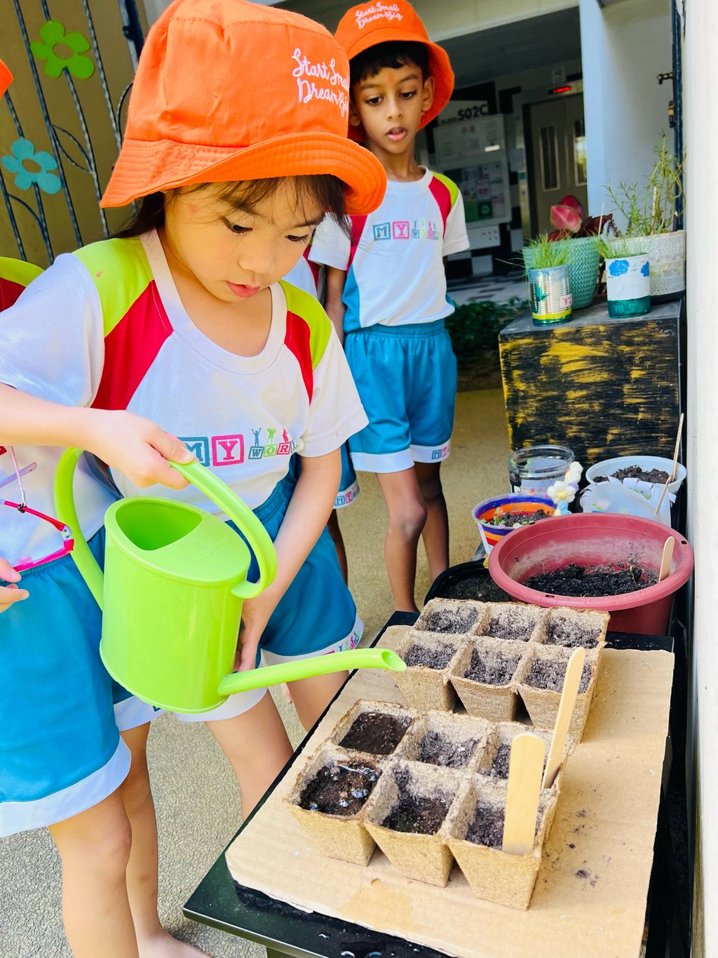 Planting Vegetables — photo 2
