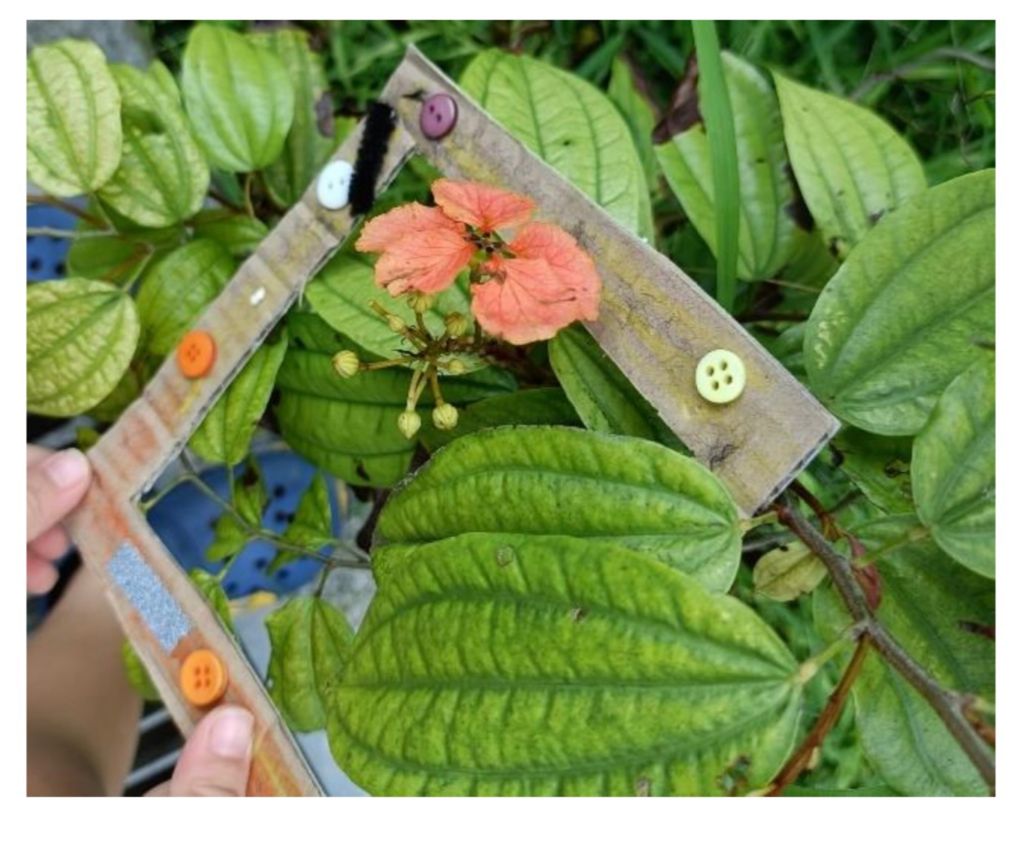 Apr 22 Earth Day: Nursery 2 — photo 7