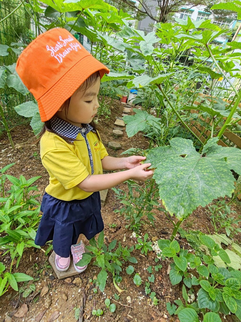 SSDB 2024活动--《参观社区菜园》 — photo 8