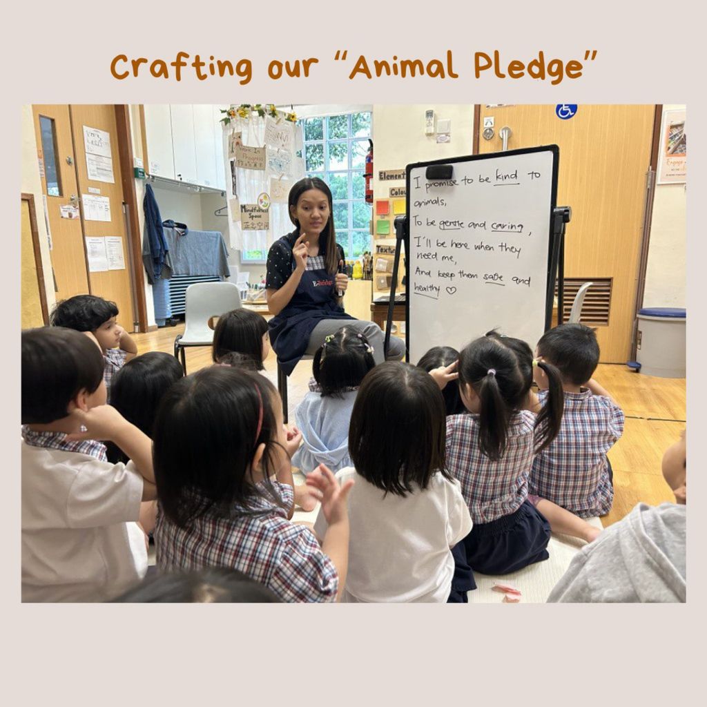 SSDB Launch Party 2024: Compassion for All Paws! — photo 1