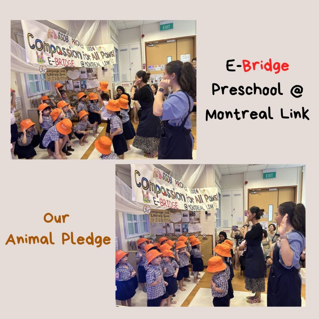 SSDB Launch Party 2024: Compassion for All Paws! — photo 1