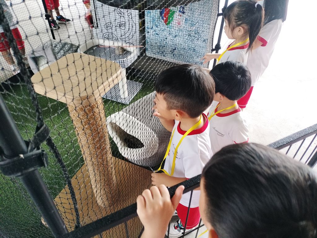 MindChamps @ YCK: SSDB Launch Party and Learning Journey to SPCA — photo 5