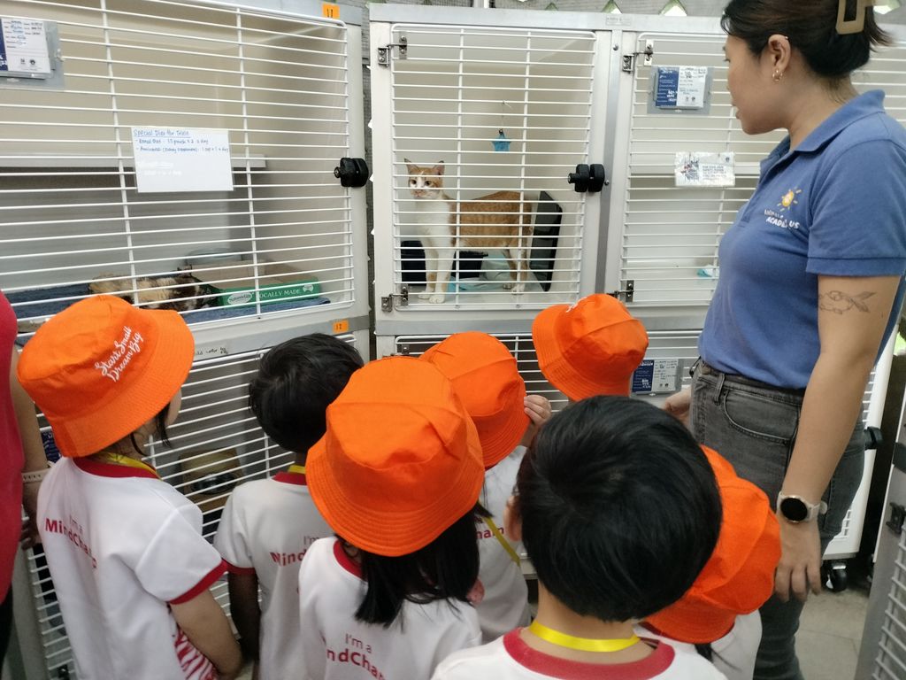 MindChamps @ YCK: SSDB Launch Party and Learning Journey to SPCA — photo 7