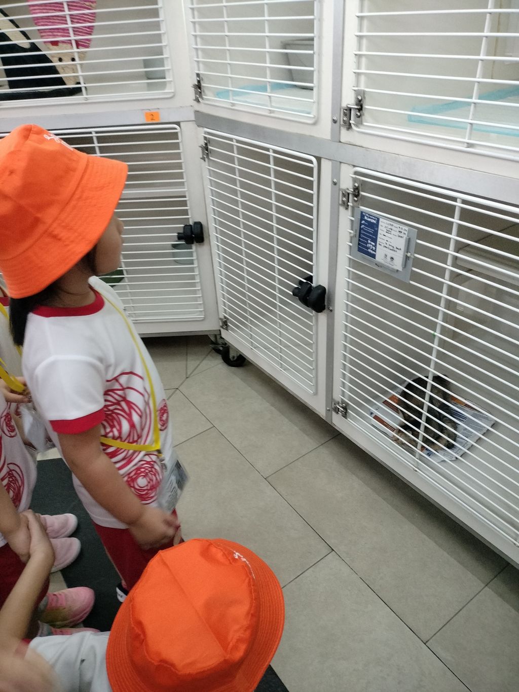 MindChamps @ YCK: SSDB Launch Party and Learning Journey to SPCA — photo 8