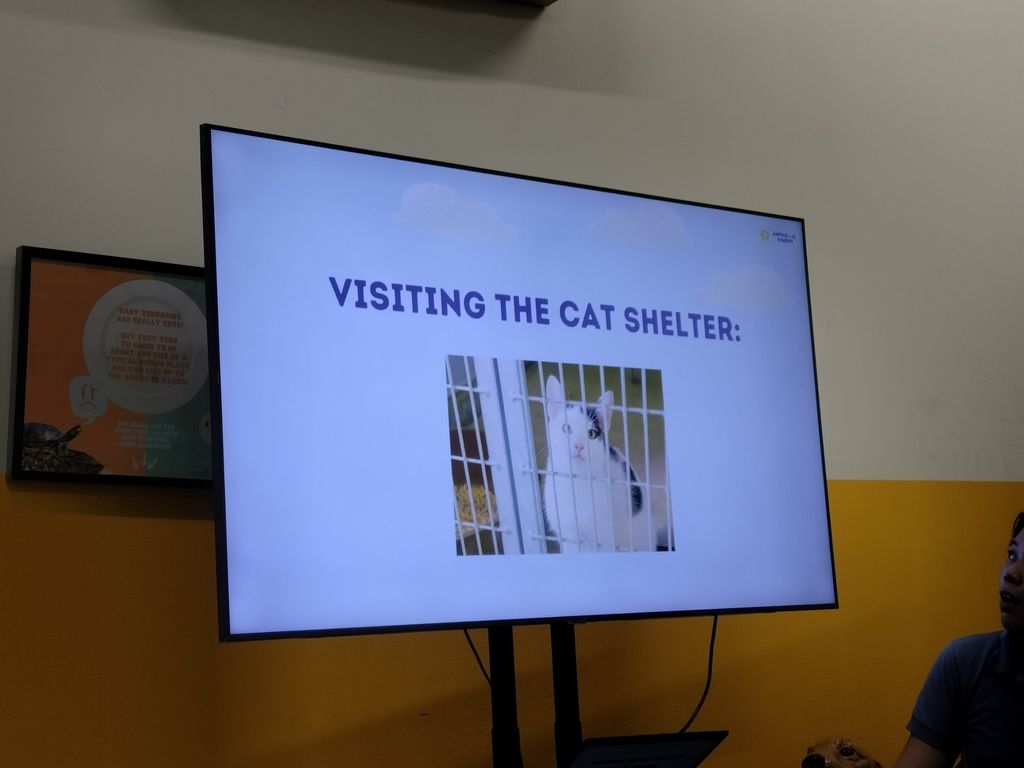 MindChamps @ YCK: SSDB Launch Party and Learning Journey to SPCA — photo 10