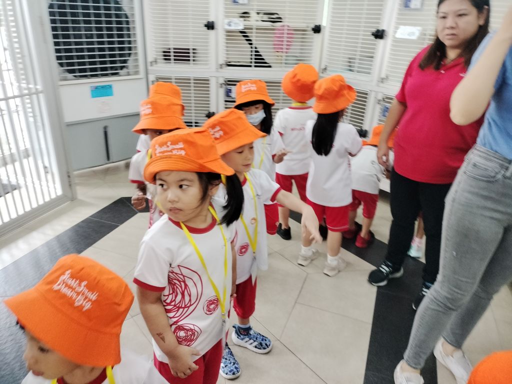 MindChamps @ YCK: SSDB Launch Party and Learning Journey to SPCA — photo 11