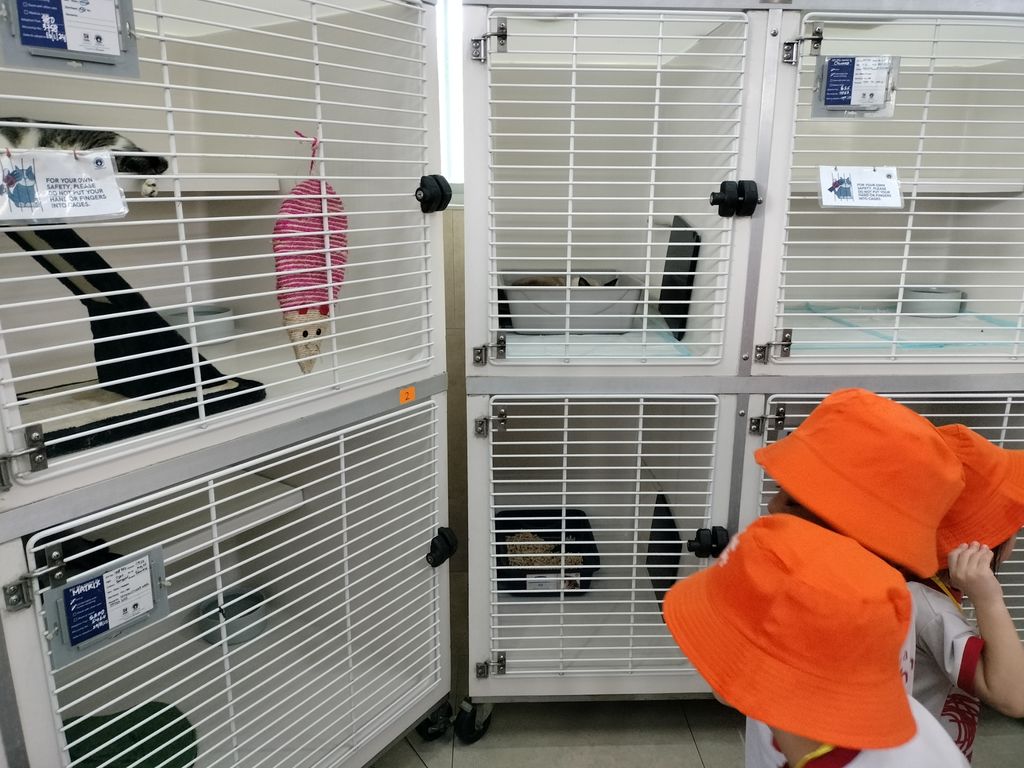 MindChamps @ YCK: SSDB Launch Party and Learning Journey to SPCA — photo 12