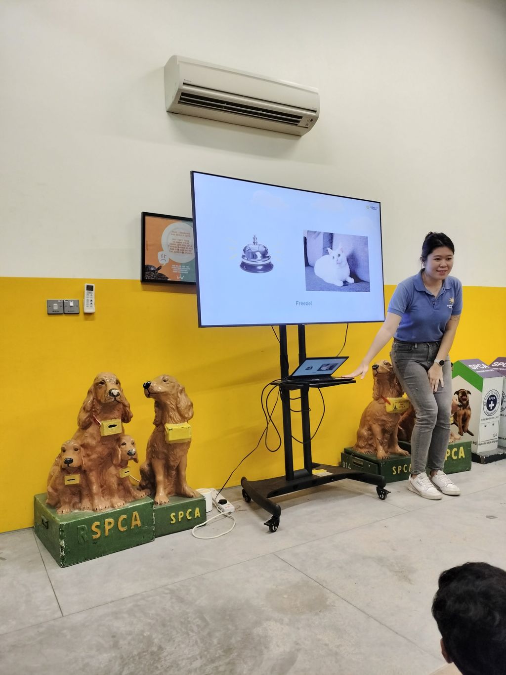 MindChamps @ YCK: SSDB Launch Party and Learning Journey to SPCA — photo 14