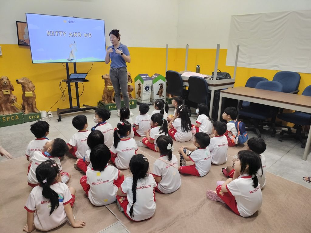 MindChamps @ YCK: SSDB Launch Party and Learning Journey to SPCA — photo 15