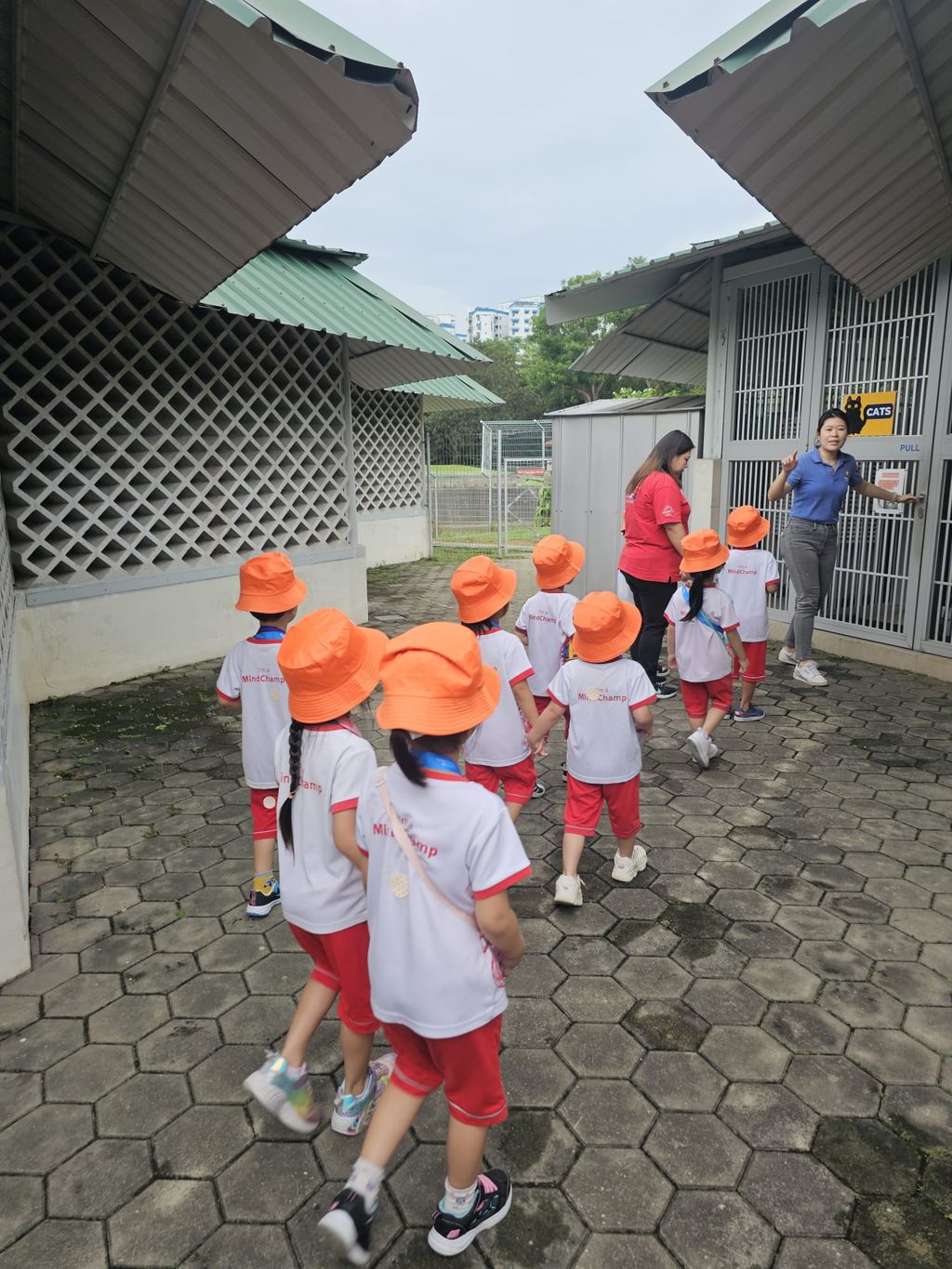 MindChamps @ YCK: SSDB Launch Party and Learning Journey to SPCA — photo 17