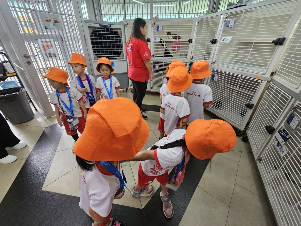 MindChamps @ YCK: SSDB Launch Party and Learning Journey to SPCA — photo 18