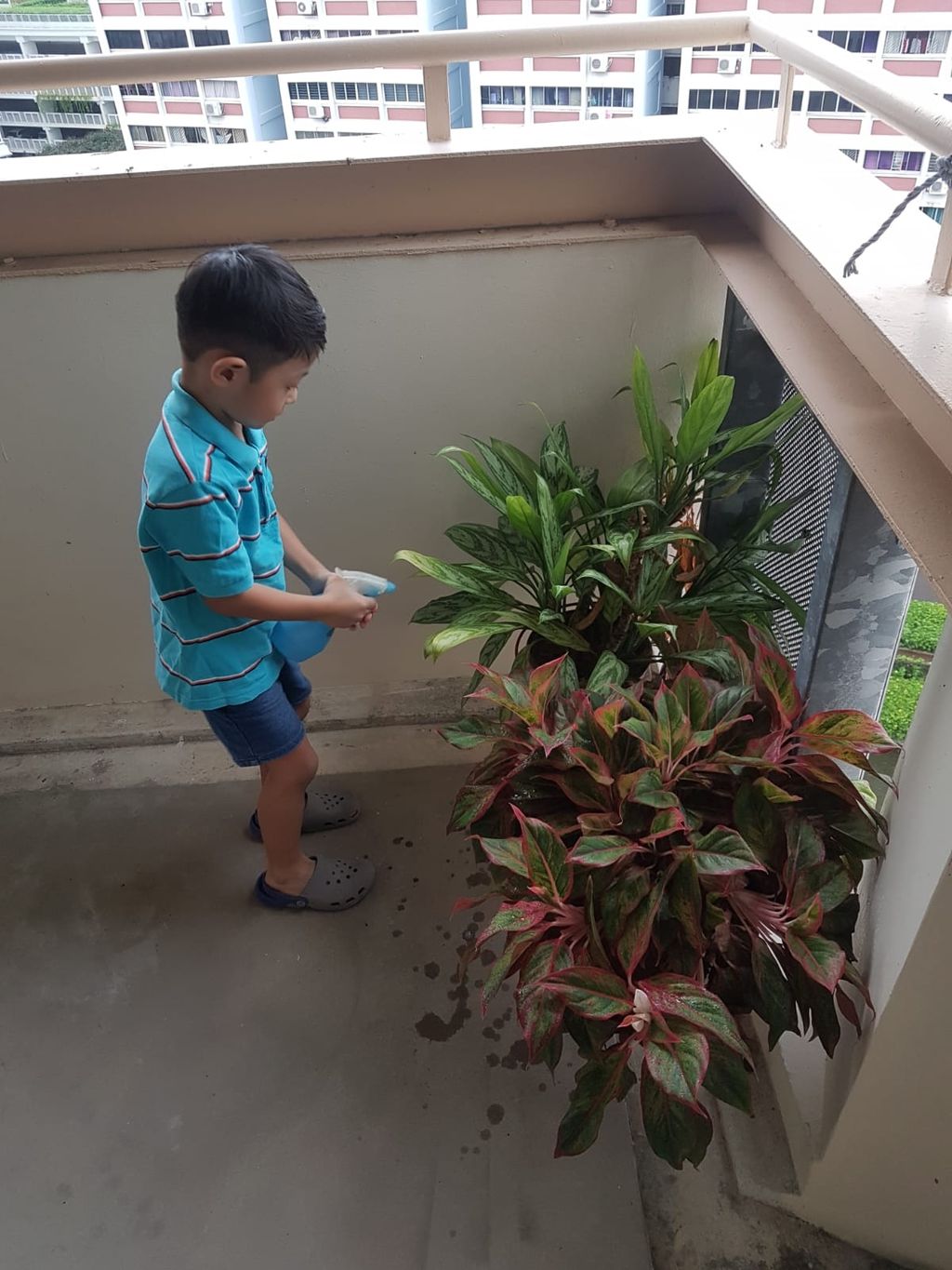 SSDB 2018 — photo 2
