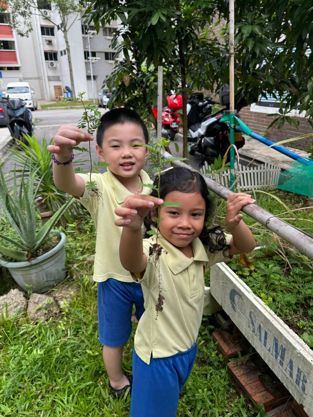 SSDB LAUNCH 2024: Centre Project - Sustainable Community Through Recycling and Gardening — photo 3