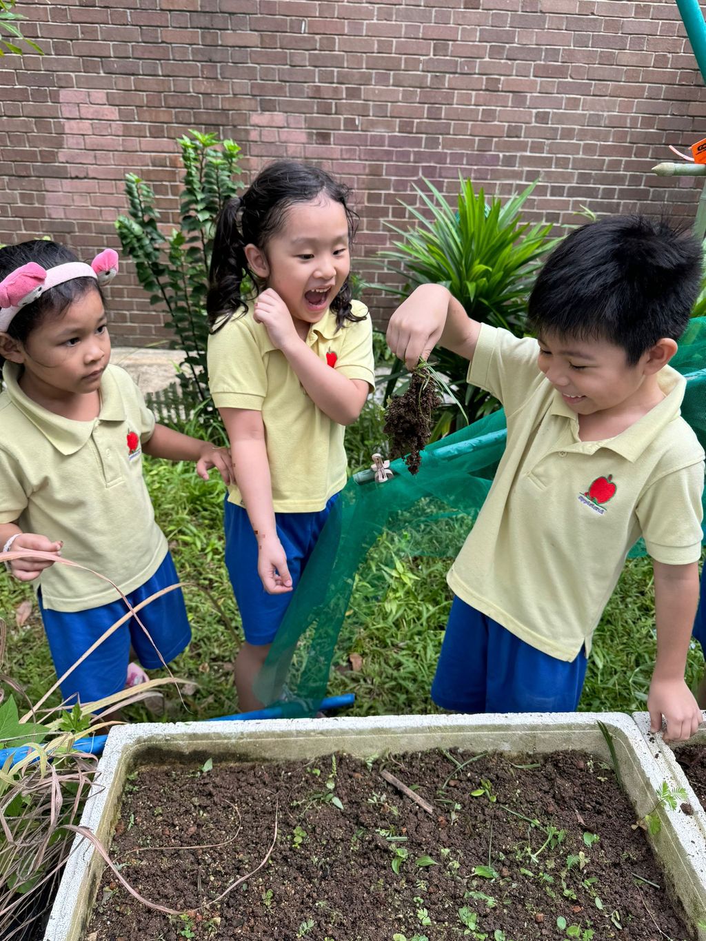 SSDB LAUNCH 2024: Centre Project - Sustainable Community Through Recycling and Gardening — photo 12