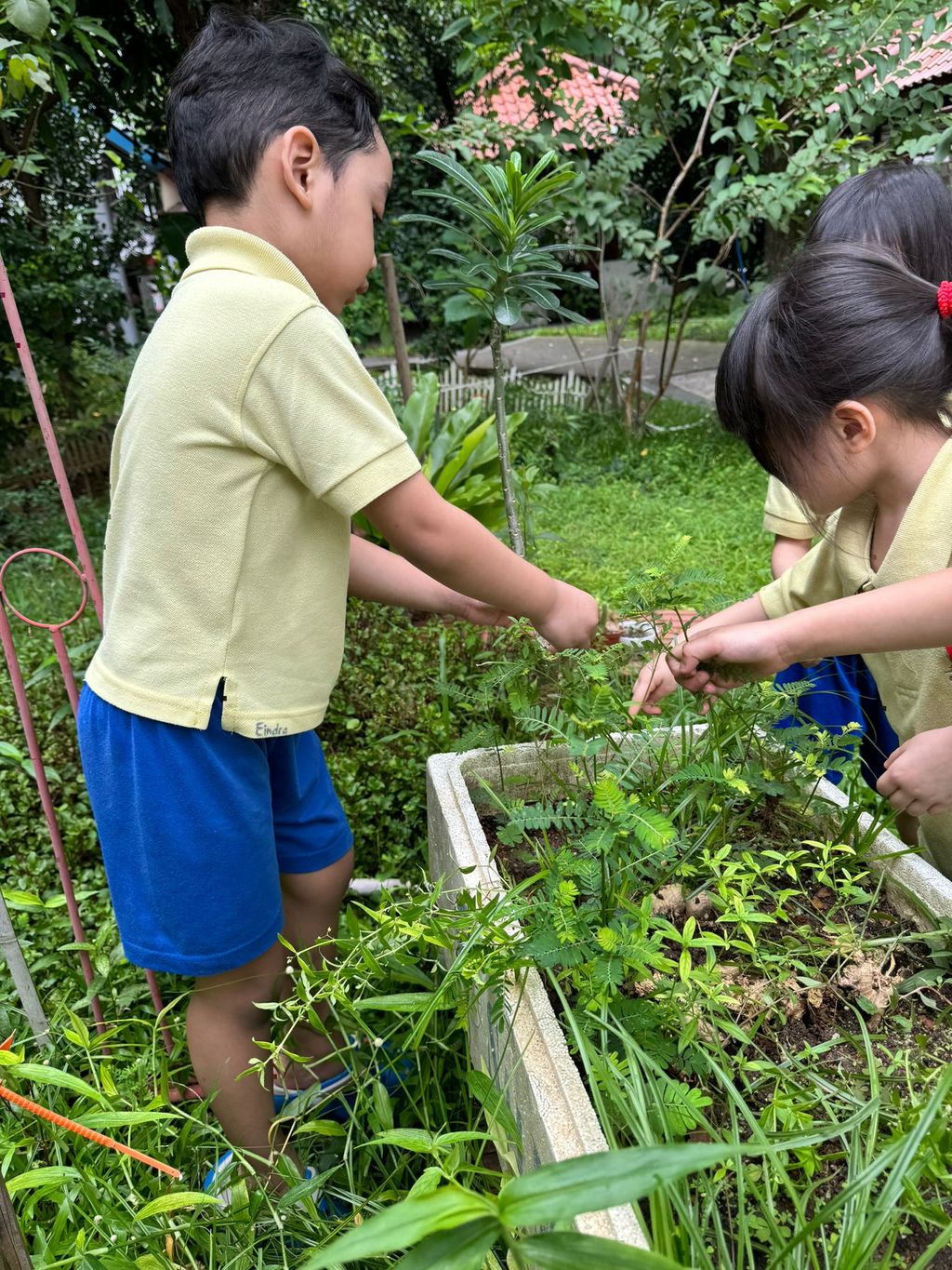 SSDB LAUNCH 2024: Centre Project - Sustainable Community Through Recycling and Gardening — photo 14