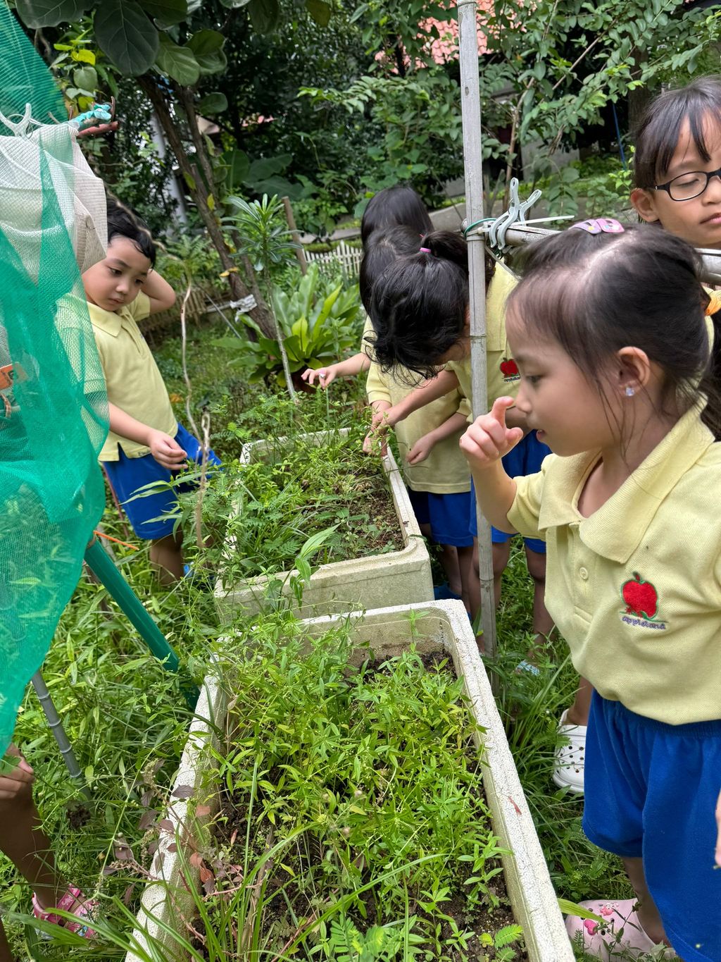 SSDB LAUNCH 2024: Centre Project - Sustainable Community Through Recycling and Gardening — photo 15