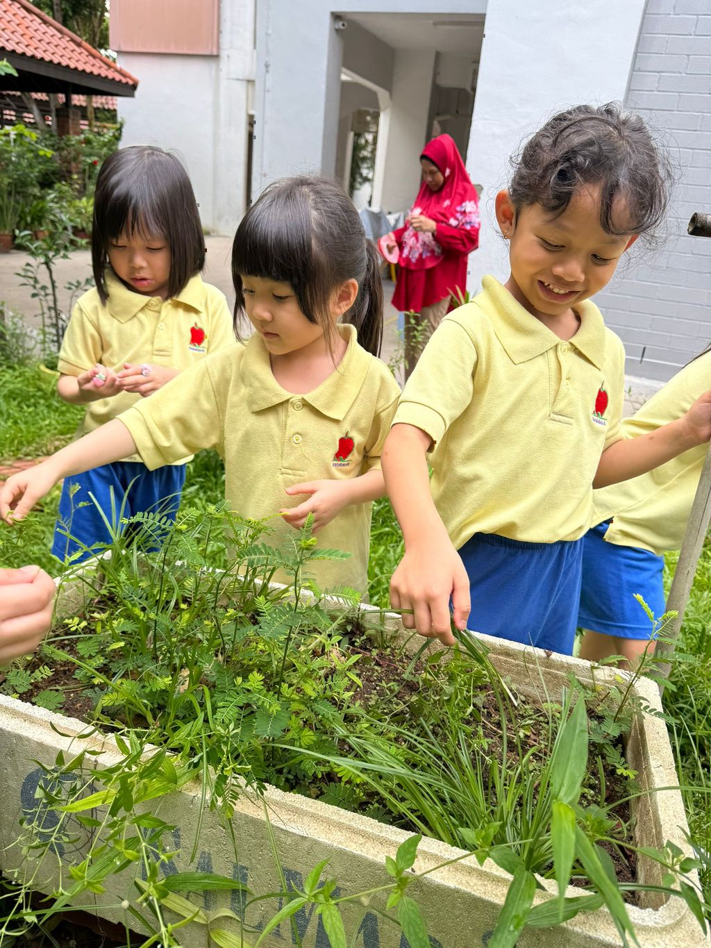 SSDB LAUNCH 2024: Centre Project - Sustainable Community Through Recycling and Gardening — photo 16