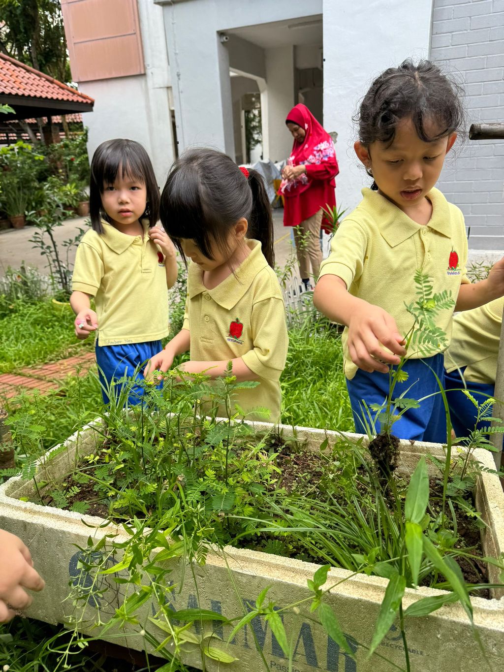SSDB LAUNCH 2024: Centre Project - Sustainable Community Through Recycling and Gardening — photo 17