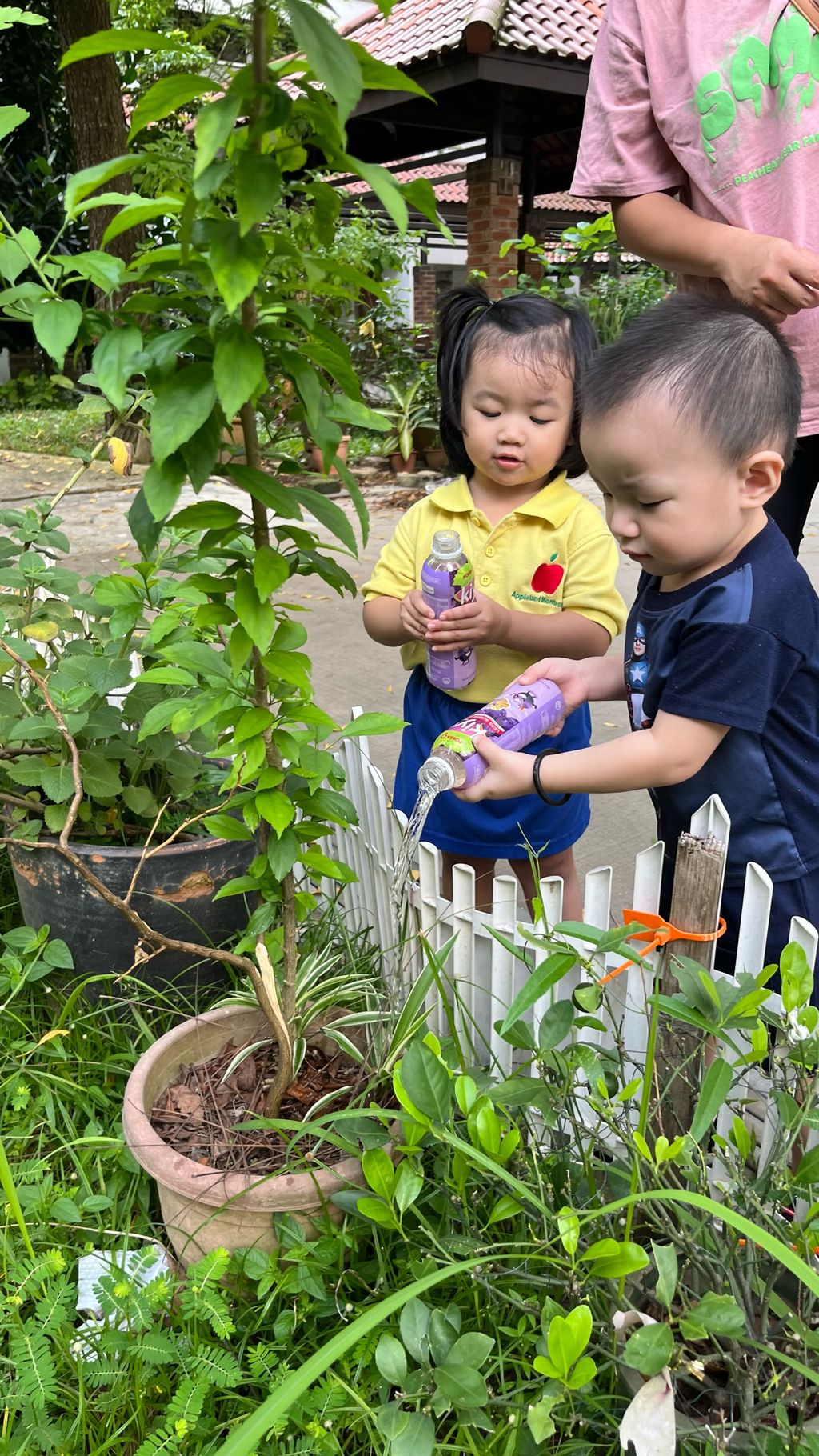 SSDB LAUNCH 2024: Centre Project - Sustainable Community Through Recycling and Gardening — photo 2