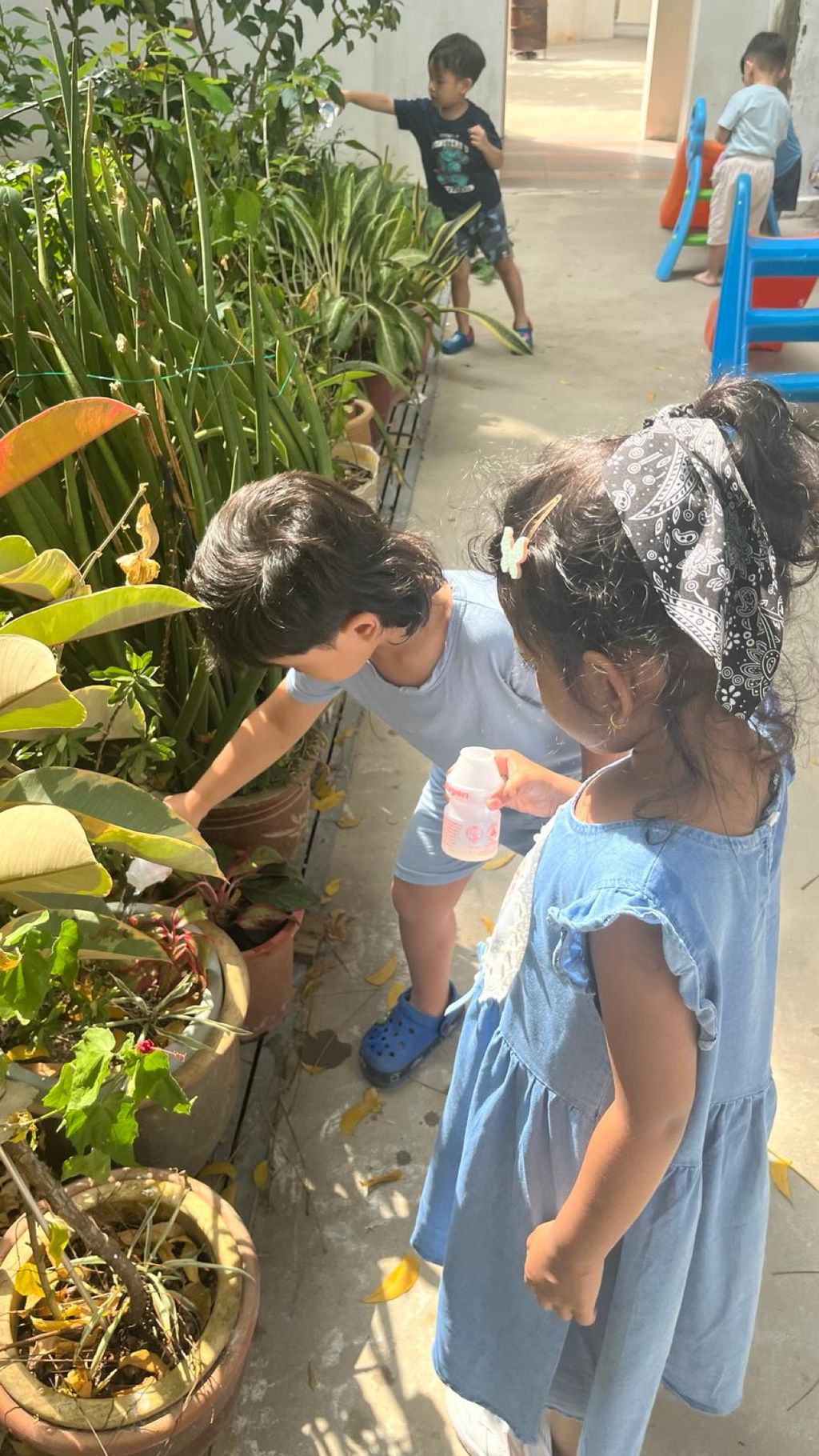 SSDB LAUNCH 2024: Centre Project - Sustainable Community Through Recycling and Gardening — photo 3