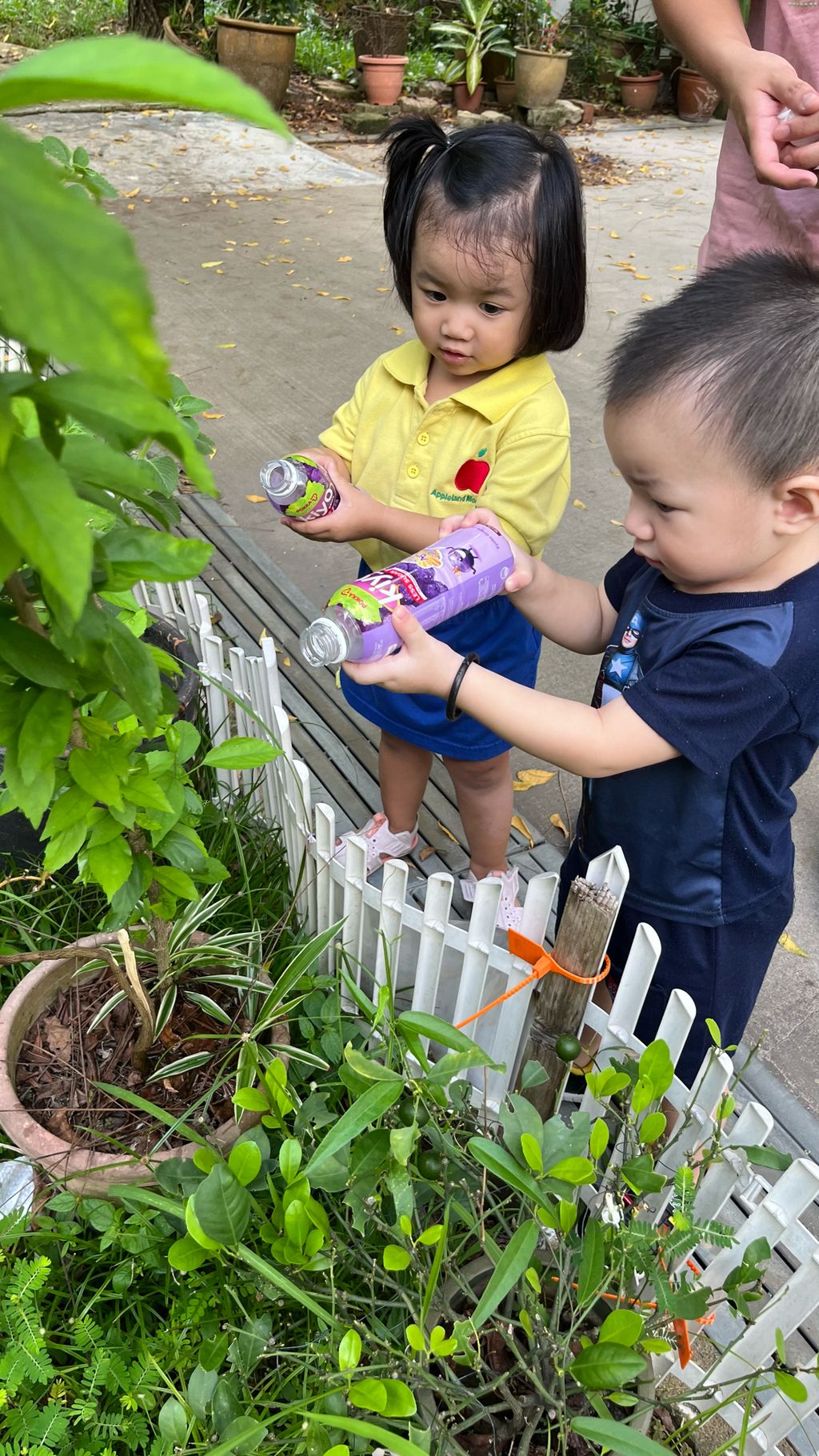 SSDB LAUNCH 2024: Centre Project - Sustainable Community Through Recycling and Gardening — photo 5