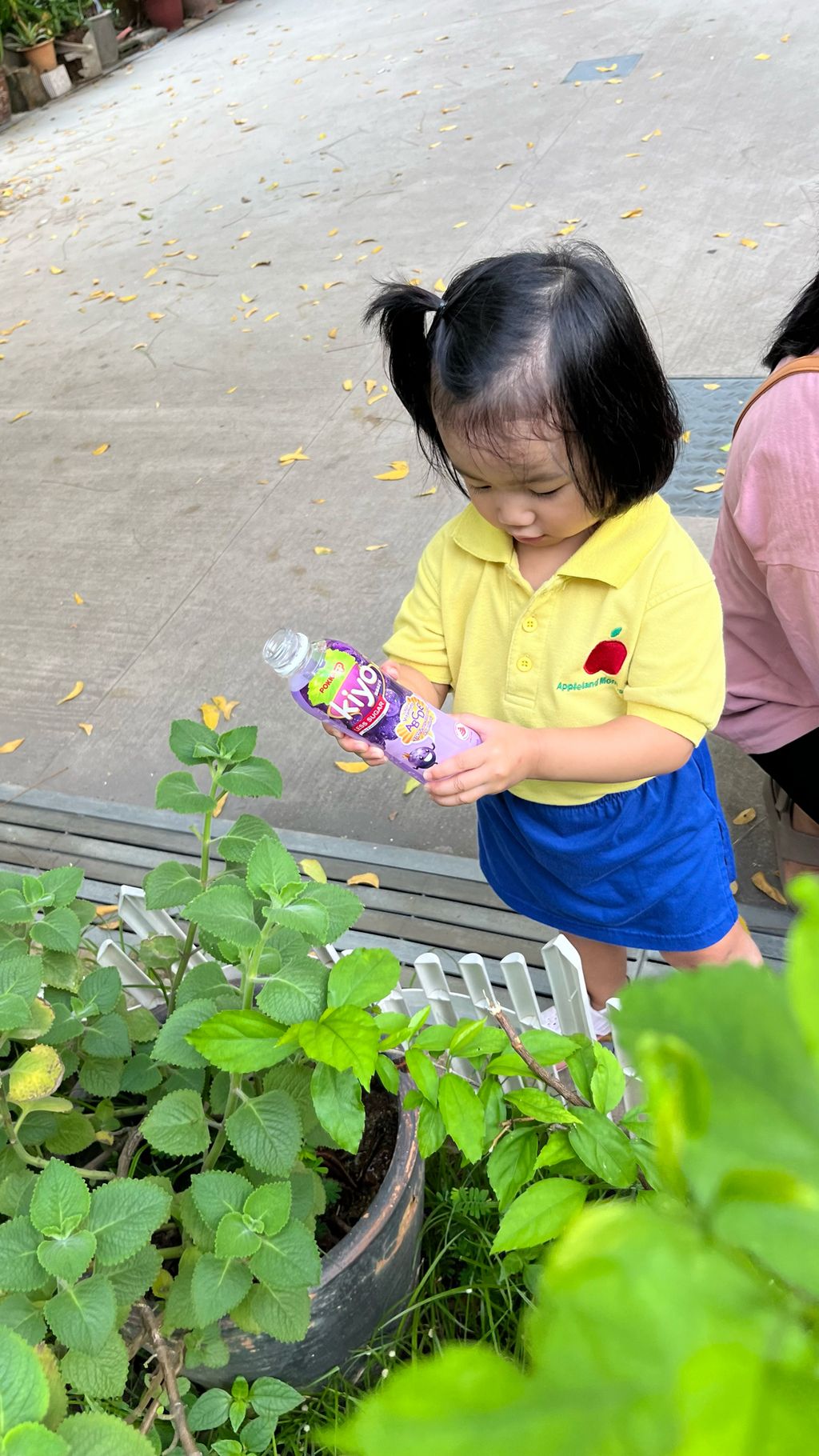 SSDB LAUNCH 2024: Centre Project - Sustainable Community Through Recycling and Gardening — photo 7