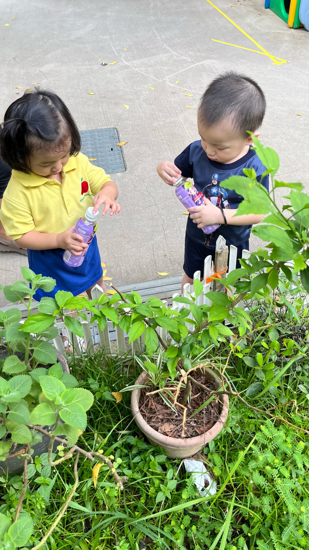 SSDB LAUNCH 2024: Centre Project - Sustainable Community Through Recycling and Gardening — photo 8