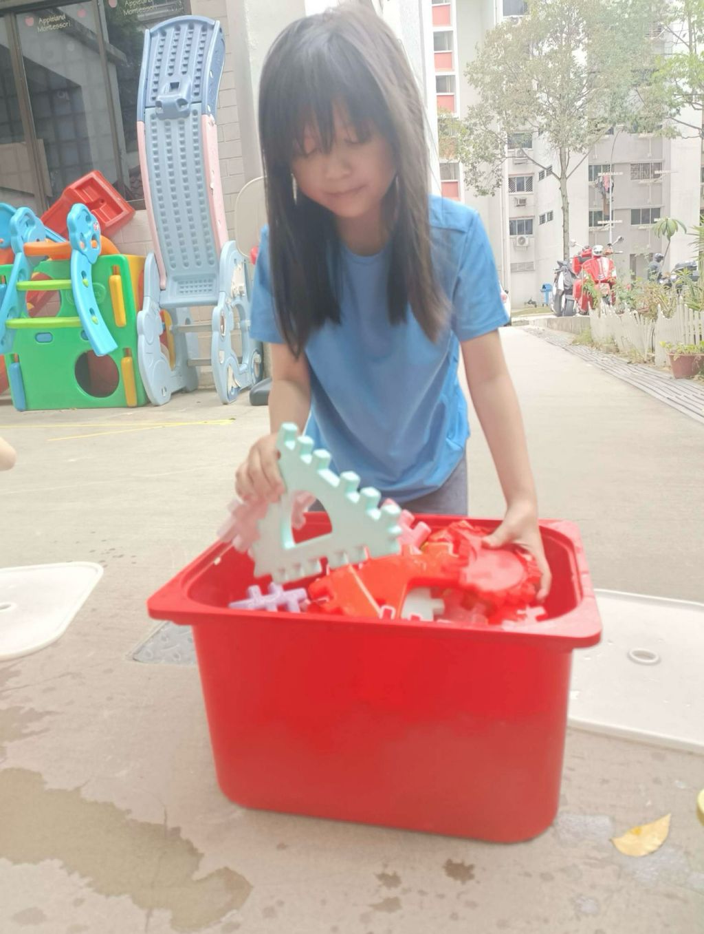 SSDB LAUNCH 2024: Centre Project - Sustainable Community Through Recycling and Gardening — photo 2
