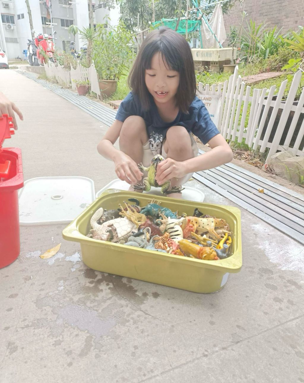 SSDB LAUNCH 2024: Centre Project - Sustainable Community Through Recycling and Gardening — photo 5