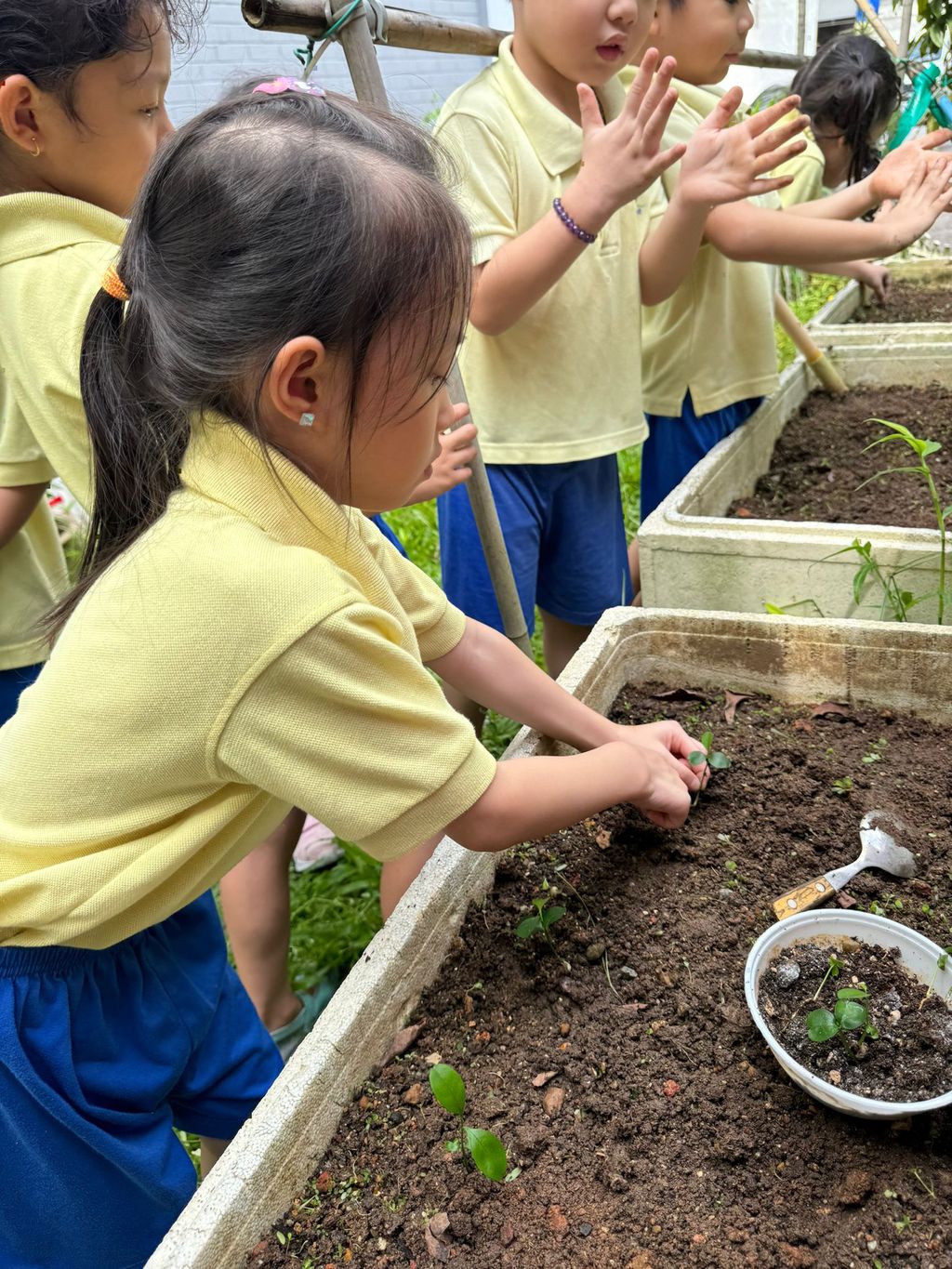 SSDB LAUNCH 2024: Centre Project - Sustainable Community Through Recycling and Gardening — photo 2
