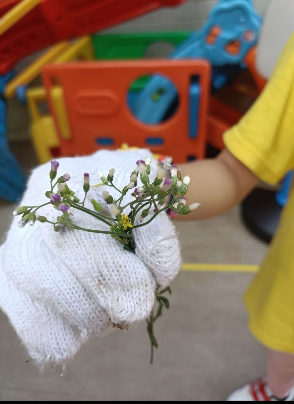 SSDB LAUNCH 2024: Centre Project - Sustainable Community Through Recycling and Gardening — photo 3