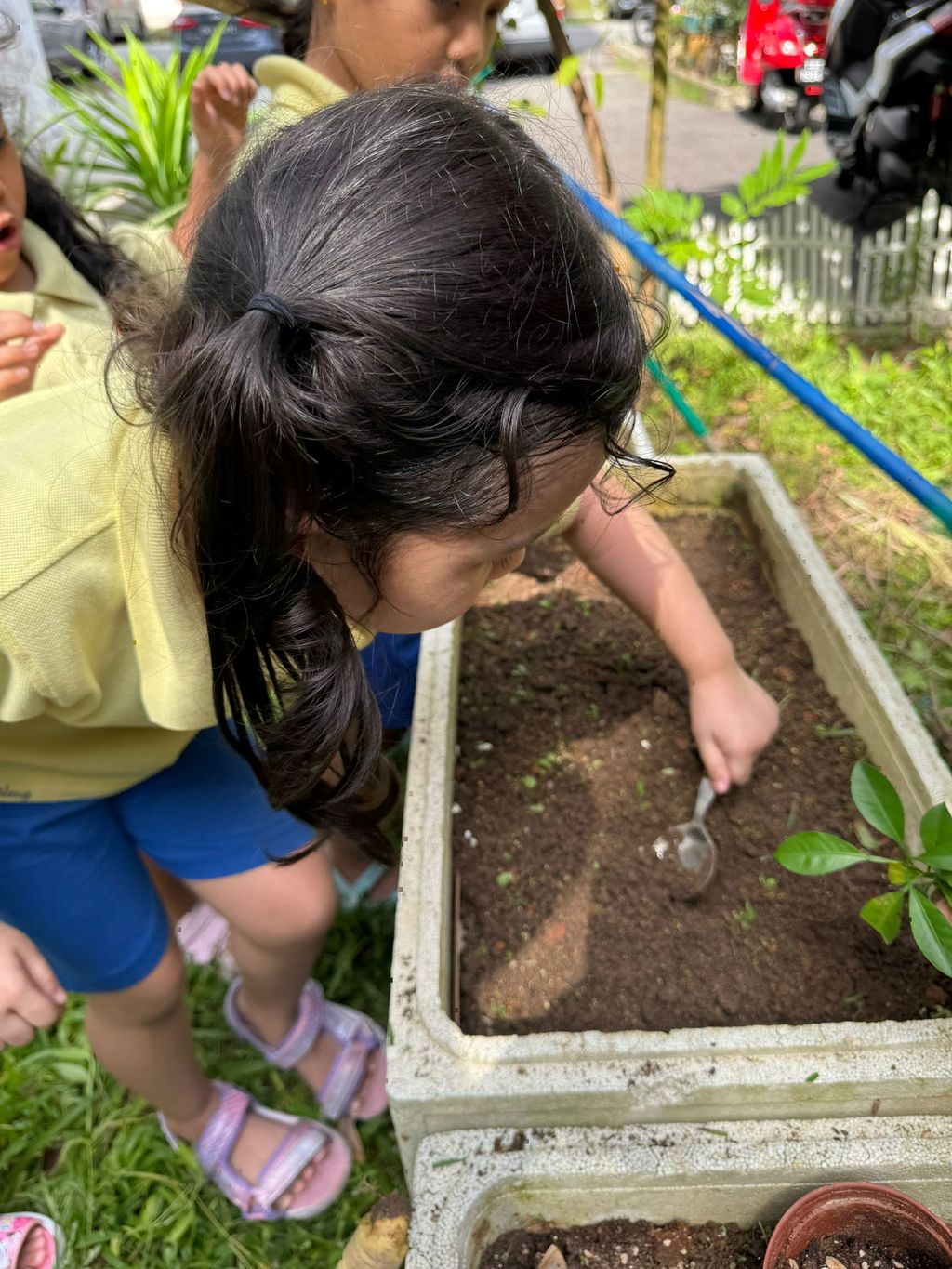 SSDB LAUNCH 2024: Centre Project - Sustainable Community Through Recycling and Gardening — photo 4