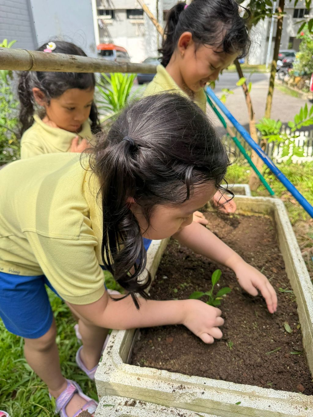 SSDB LAUNCH 2024: Centre Project - Sustainable Community Through Recycling and Gardening — photo 5