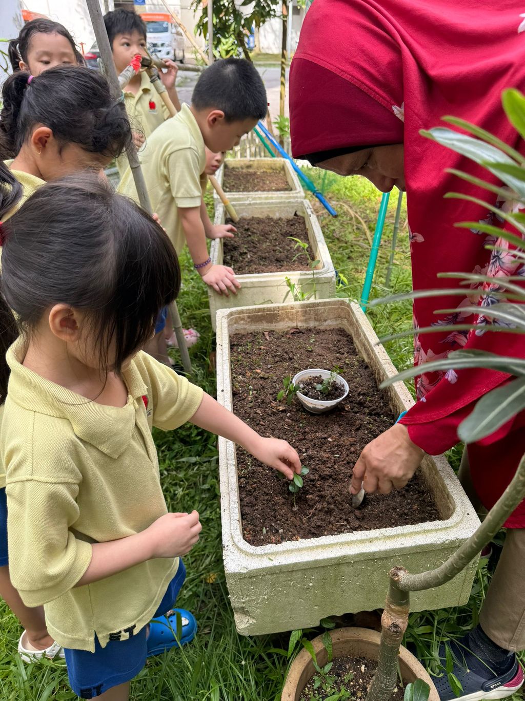 SSDB LAUNCH 2024: Centre Project - Sustainable Community Through Recycling and Gardening — photo 6
