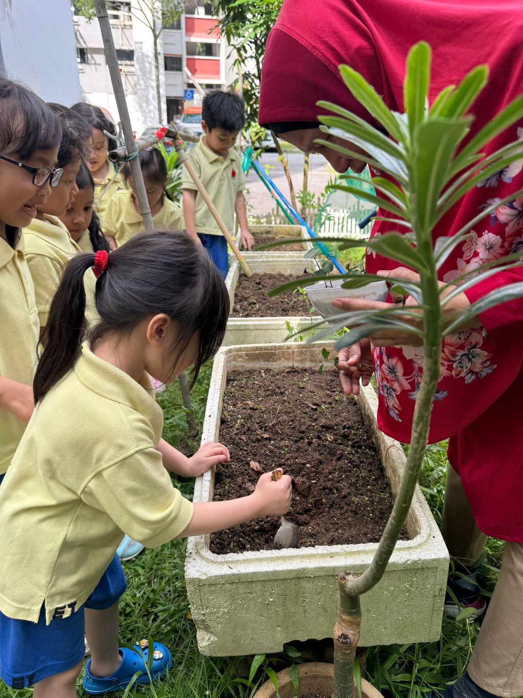 SSDB LAUNCH 2024: Centre Project - Sustainable Community Through Recycling and Gardening — photo 7