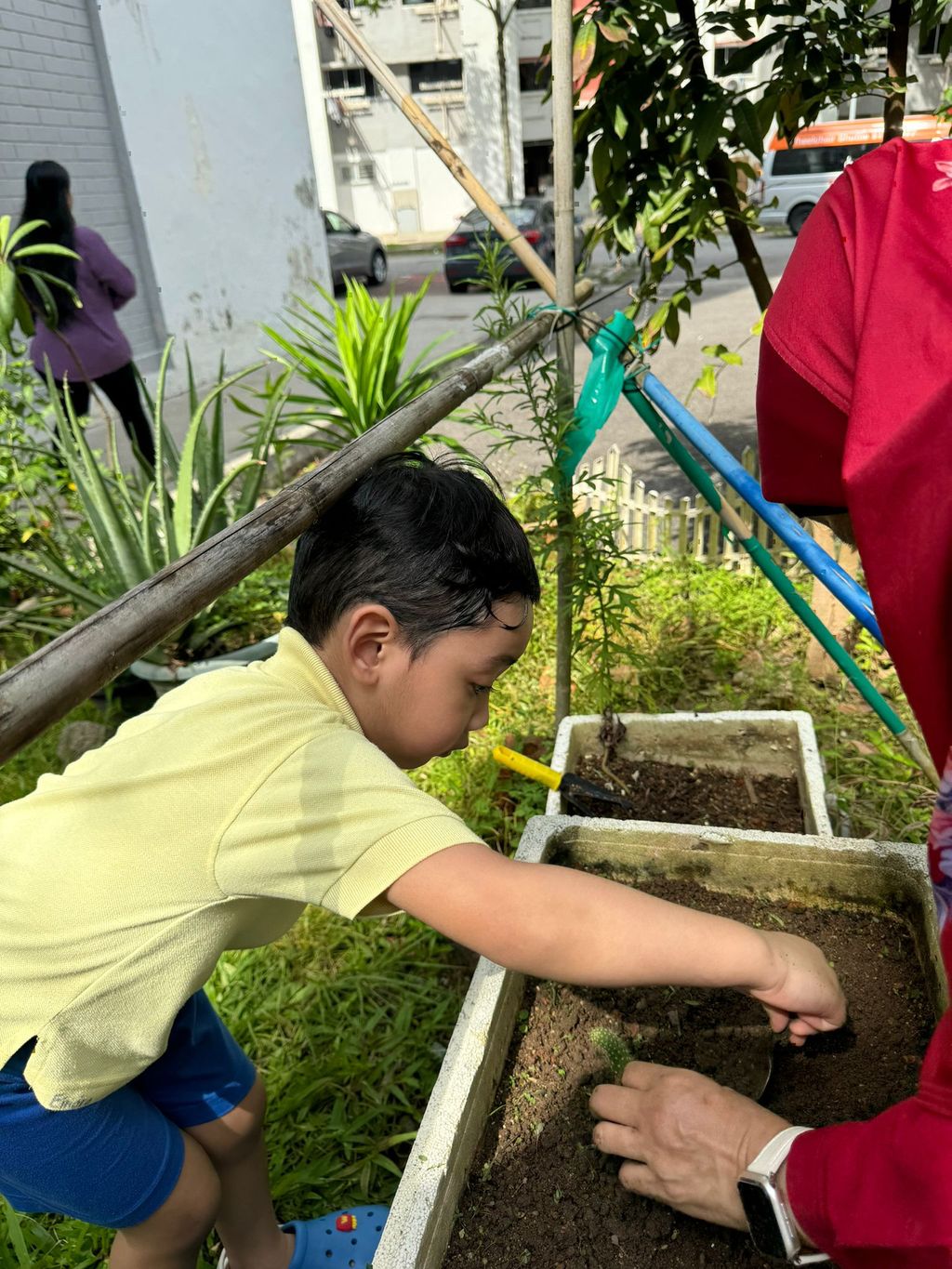 SSDB LAUNCH 2024: Centre Project - Sustainable Community Through Recycling and Gardening — photo 10