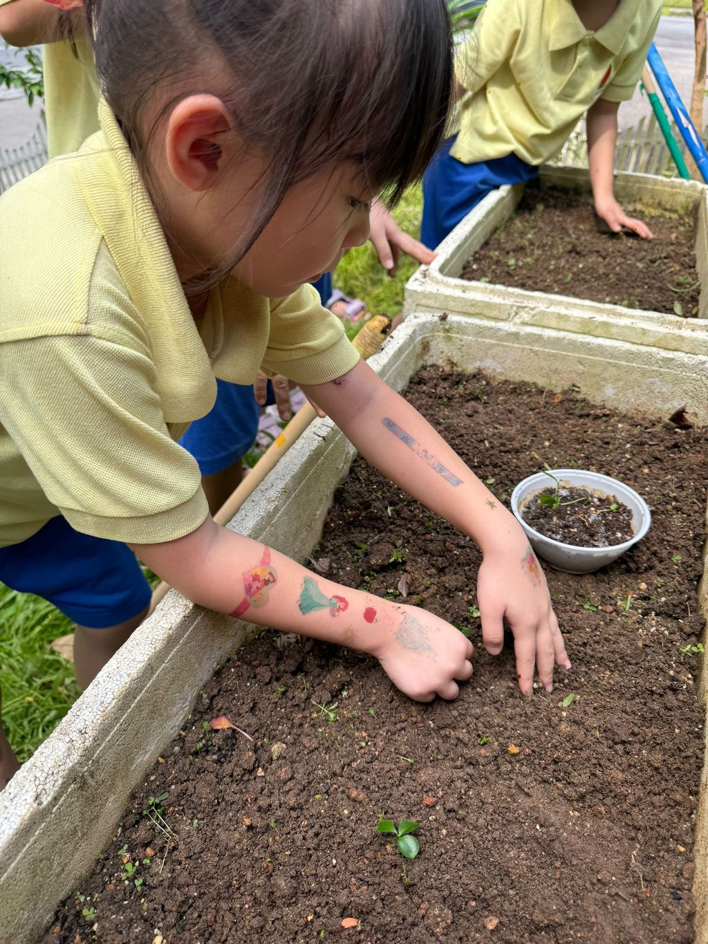 SSDB LAUNCH 2024: Centre Project - Sustainable Community Through Recycling and Gardening — photo 11