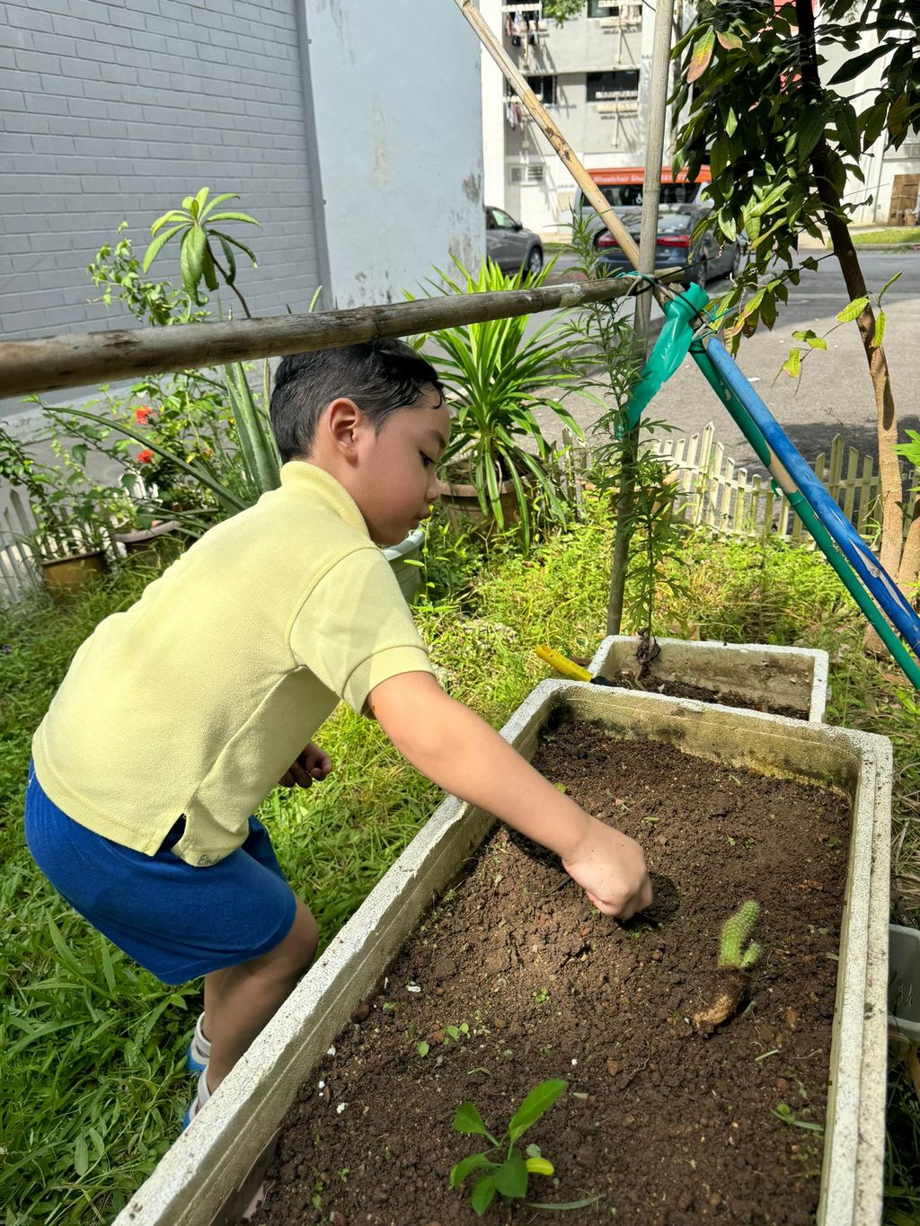 SSDB LAUNCH 2024: Centre Project - Sustainable Community Through Recycling and Gardening — photo 14