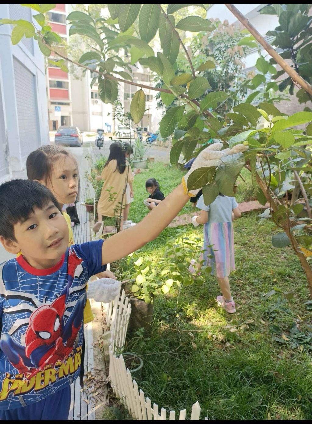 SSDB LAUNCH 2024: Centre Project - Sustainable Community Through Recycling and Gardening — photo 16