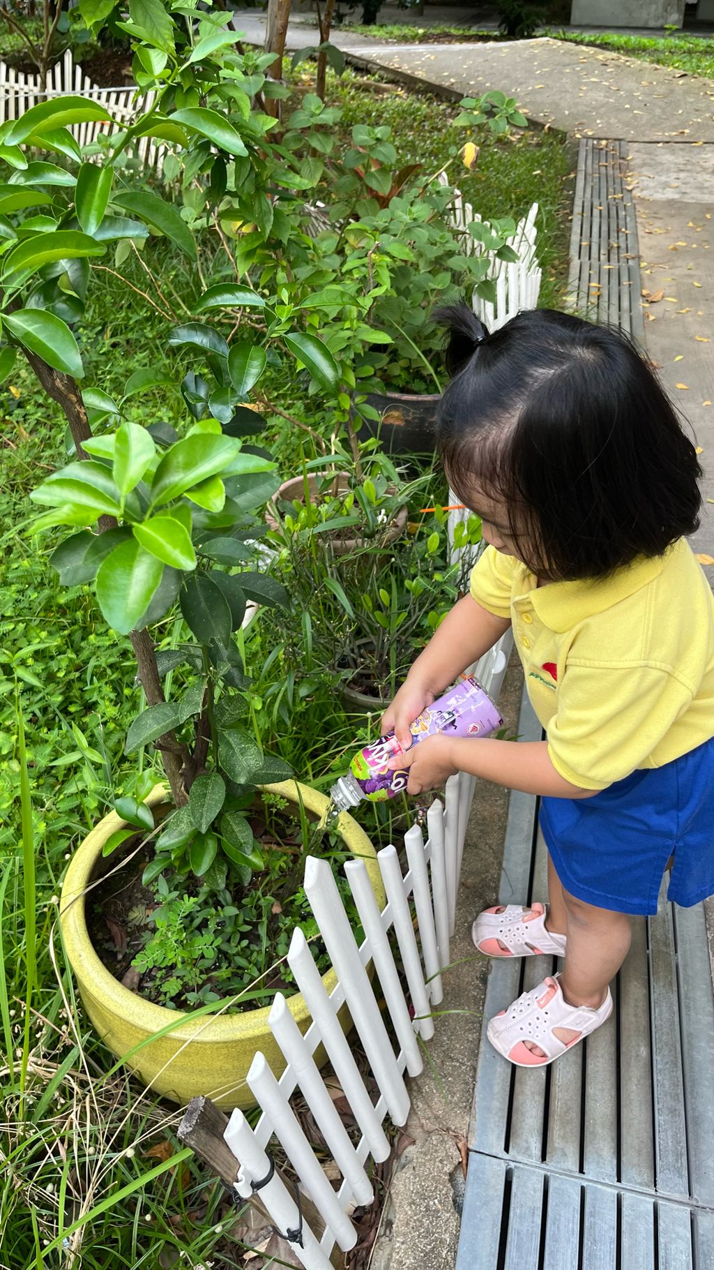 SSDB LAUNCH 2024: Centre Project - Sustainable Community Through Recycling and Gardening — photo 17