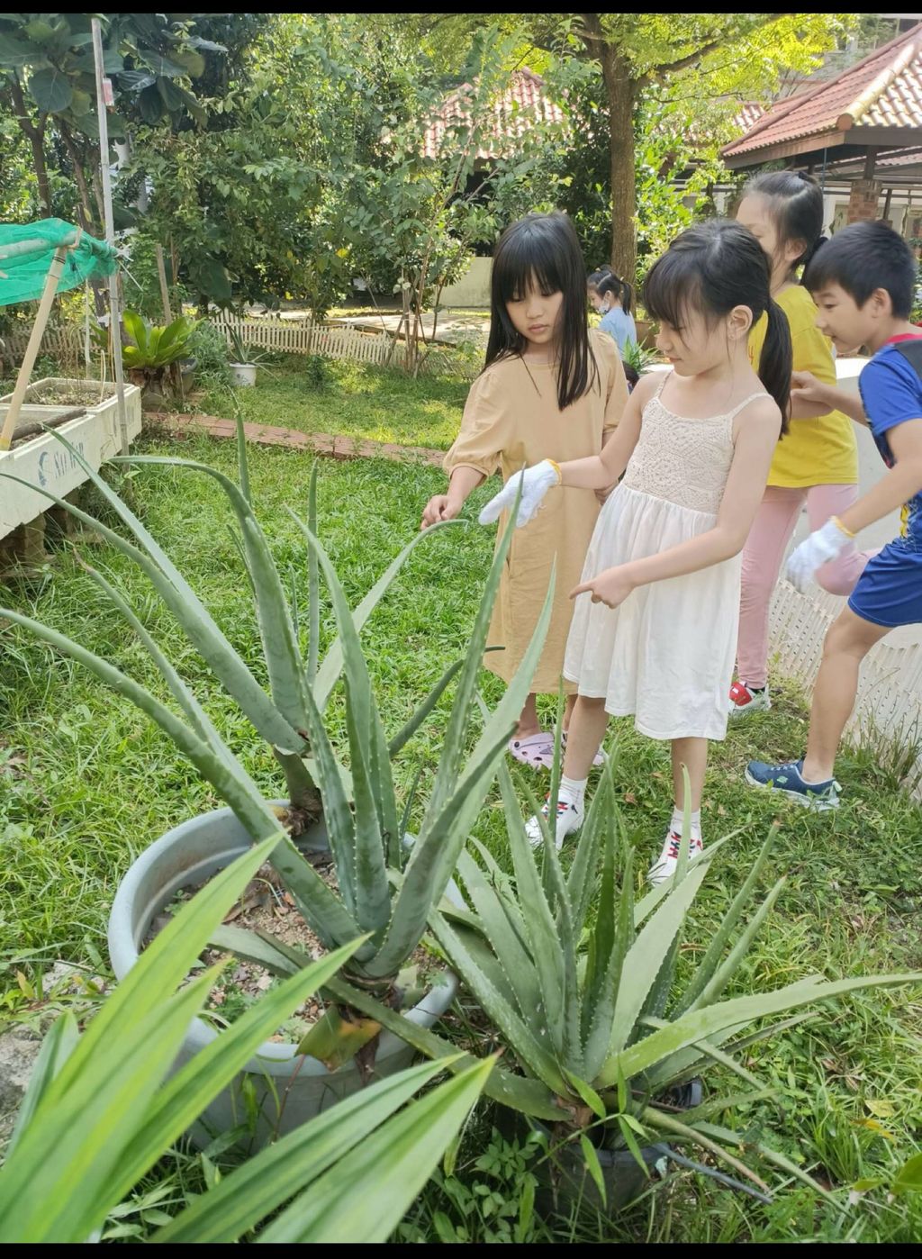 SSDB LAUNCH 2024: Centre Project - Sustainable Community Through Recycling and Gardening — photo 20