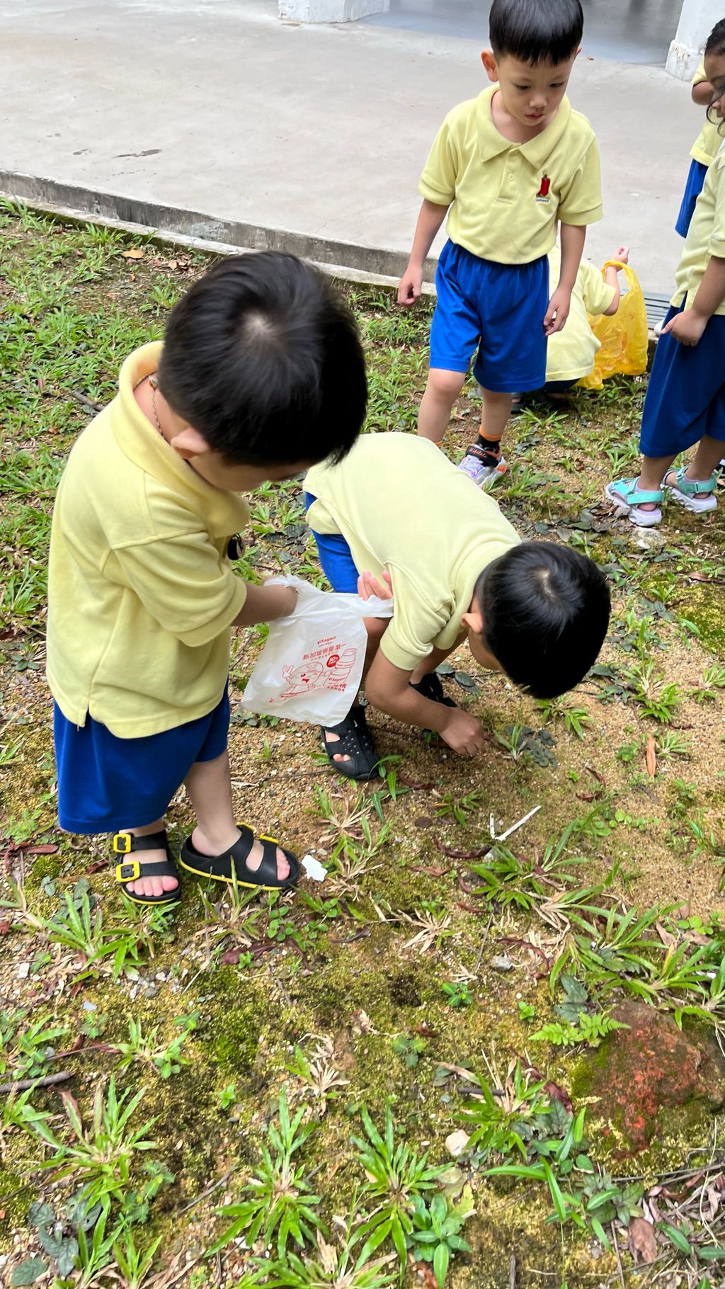 SSDB LAUNCH 2024: Centre Project - Sustainable Community Through Recycling and Gardening — photo 6