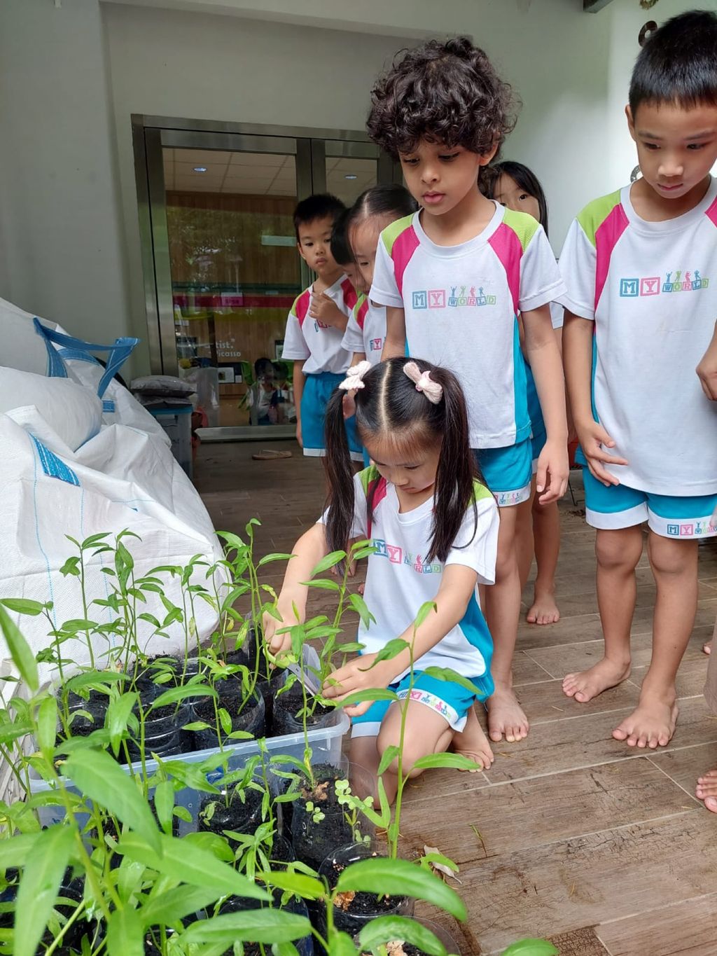 Our First Harvest — photo 2