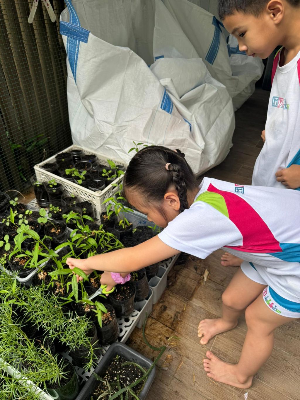 Our First Harvest — photo 3